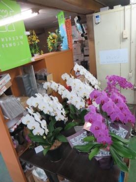 本日のお届け商品。ご予約ありがとうございました。｜「花徳」　（静岡県浜松市中央区の花キューピット加盟店 花屋）のブログ