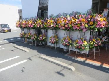 先日、開店祝スタンド生花のご注文いただきました！｜「花徳」　（静岡県浜松市中央区の花キューピット加盟店 花屋）のブログ