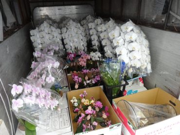 今日から５月！ゴールデンウイークですが・・・１０日は『母の日』です！！人気商品が多数入荷しています！ご注文はお早めに・・・|「花徳」　（静岡県浜松市中央区の花屋）のブログ