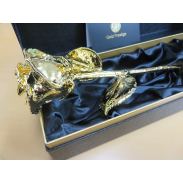 ゴールドローズ ＢＯＸ入