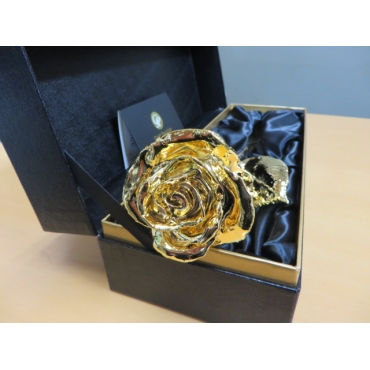 ゴールドローズ ＢＯＸ入