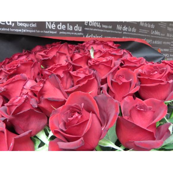 赤薔薇のみ花束　5０本　